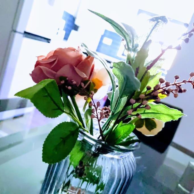 לונדון Beautiful Modern Apartment On Wick Lane מראה חיצוני תמונה